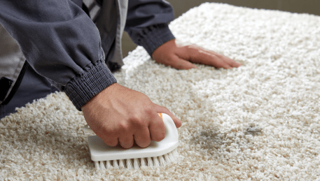 Professional Rug Cleaning Williamstown